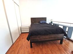 The Rochester Residences (D5), Apartment #581940121
